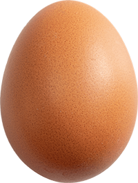 egg